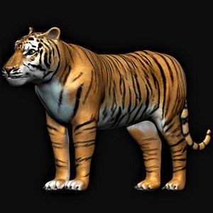 fully rigged tiger 3D model