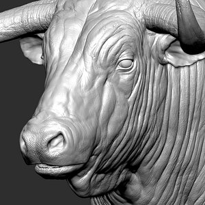 Bull el Toro VFX Zbrush Sculpture Digitale 3D model