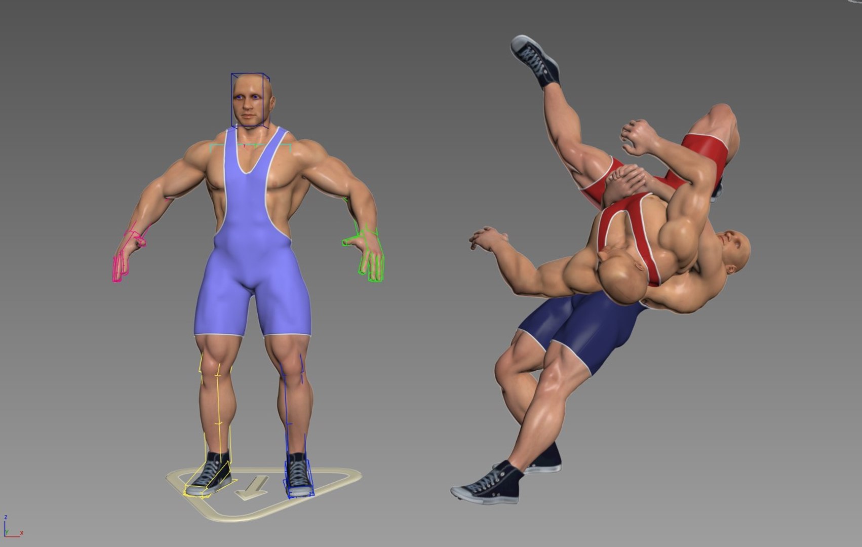 Rig Skin 3D Model - TurboSquid 1473690