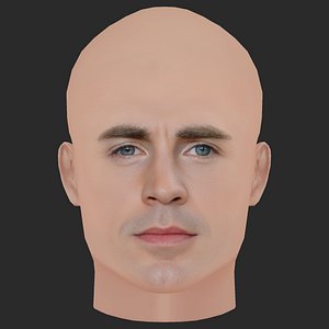 Low Poly Chris Evans Head 3D model