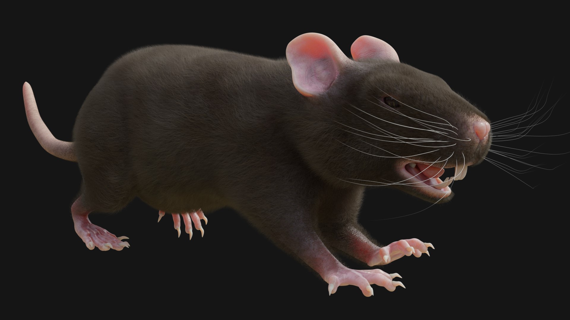3D RET FOR VFX CGI - TurboSquid 2213424