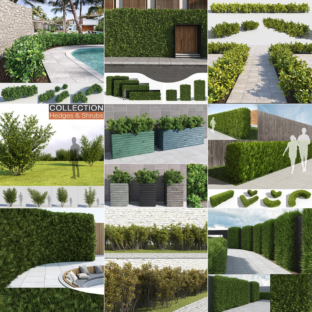 hedges shrubs model https://p.turbosquid.com/ts-thumb/e4/ZMg55f/pOBclPUF/hedges_shrubs_1/jpg/1511296647/1920x1080/fit_q87/296fc88963202ae8ee972889880a95cac015c330/hedges_shrubs_1.jpg