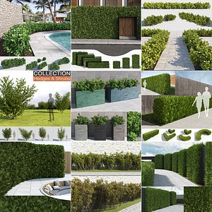 Hedges & Shrubs Collection (10 in 1)
