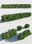 hedges shrubs model