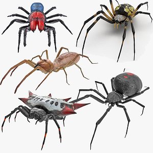 3D rigged spiders model