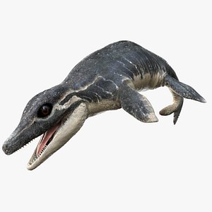 triceratops rigged 3D