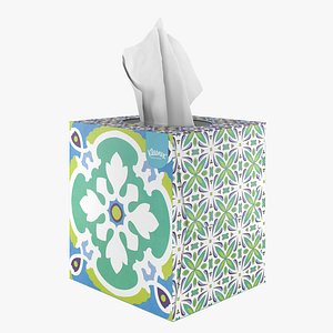 3D kleenex cube tissue model