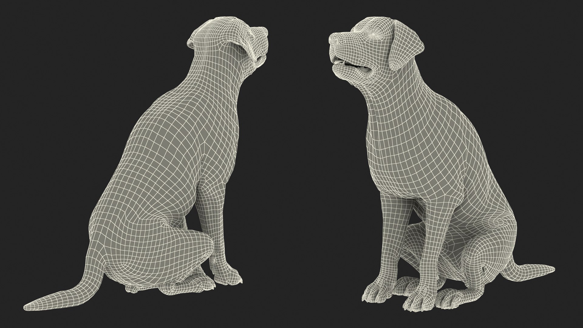 3D model Black Begging Labrador Dog Fur Animated Rigged for Maya https://p.turbosquid.com/ts-thumb/e4/iq9hum/16/black_begging_labrador_dog_fur_animated_rigged_020/jpg/1755505867/1920x1080/fit_q87/f3f3639c2025a898acb3bbee92b6b5dc13f1ef9b/black_begging_labrador_dog_fur_animated_rigged_020.jpg