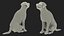 Black Begging Labrador Dog Fur Animated Rigged for Maya