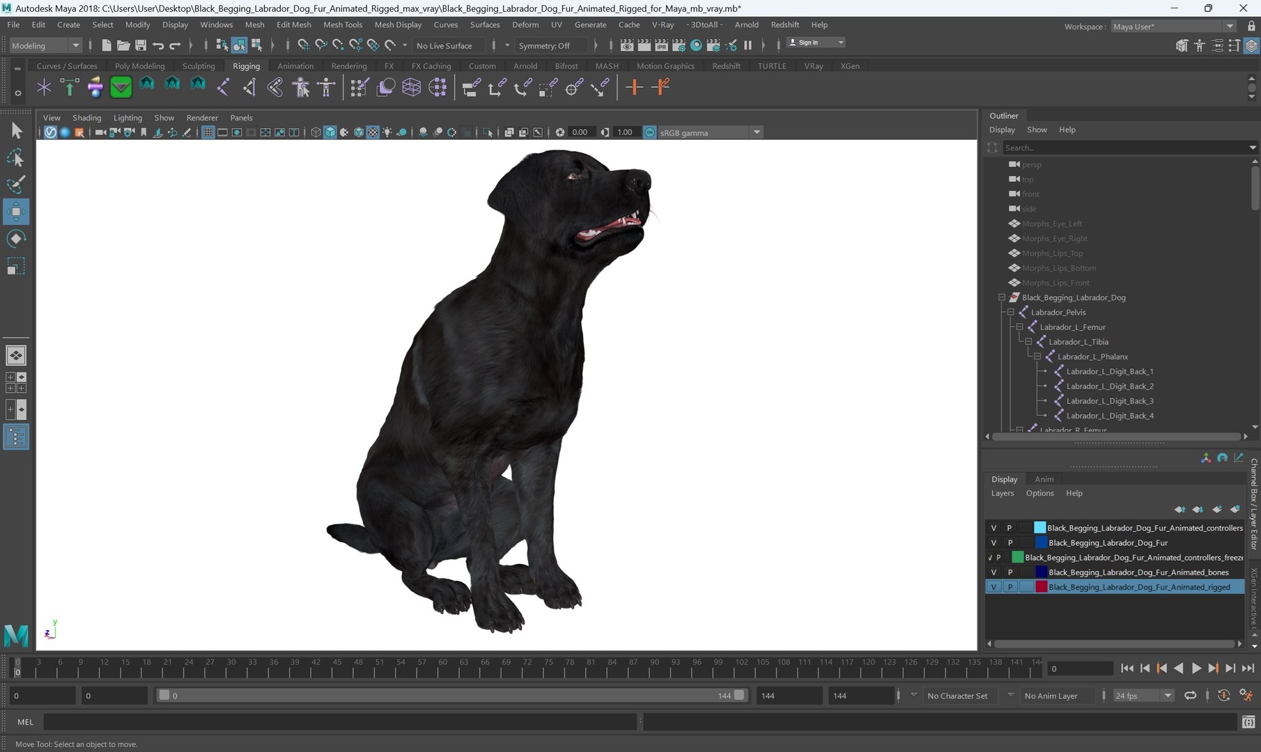 3D model Black Begging Labrador Dog Fur Animated Rigged for Maya https://p.turbosquid.com/ts-thumb/e4/iq9hum/5C/black_begging_labrador_dog_fur_animated_rigged_for_maya_006/jpg/1755505813/1920x1080/fit_q87/4e247dc6b7eb7728604e9fd1d68bb12c85cb6ea3/black_begging_labrador_dog_fur_animated_rigged_for_maya_006.jpg
