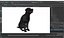 Black Begging Labrador Dog Fur Animated Rigged for Maya