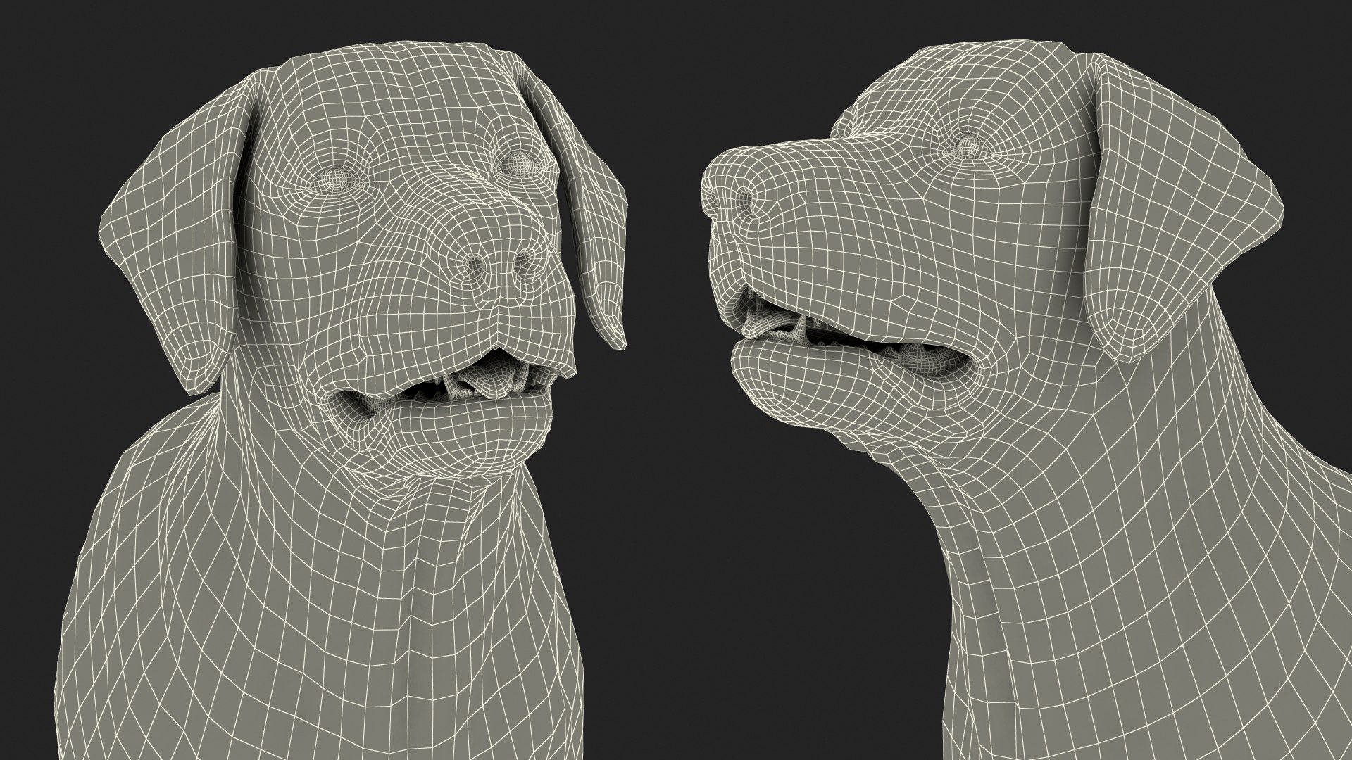 3D model Black Begging Labrador Dog Fur Animated Rigged for Maya https://p.turbosquid.com/ts-thumb/e4/iq9hum/8M/black_begging_labrador_dog_fur_animated_rigged_022/jpg/1755505874/1920x1080/fit_q87/9ad892005e19e83bd22e7cf148434262941c9332/black_begging_labrador_dog_fur_animated_rigged_022.jpg