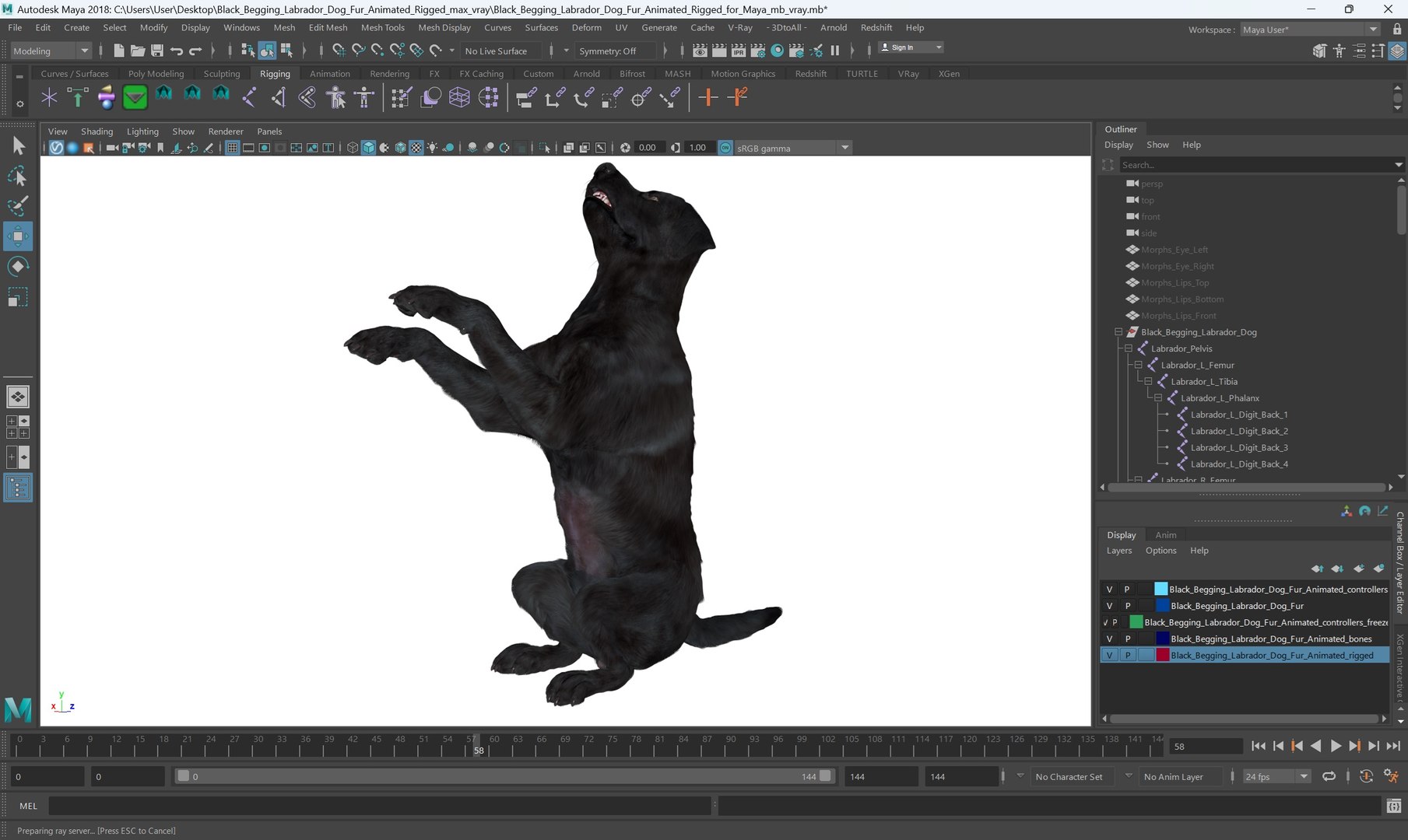3D model Black Begging Labrador Dog Fur Animated Rigged for Maya https://p.turbosquid.com/ts-thumb/e4/iq9hum/L3/black_begging_labrador_dog_fur_animated_rigged_for_maya_009/jpg/1755505831/1920x1080/fit_q87/0b0d5e82f91d3e1c5ebd1d79137b4c3954c02079/black_begging_labrador_dog_fur_animated_rigged_for_maya_009.jpg
