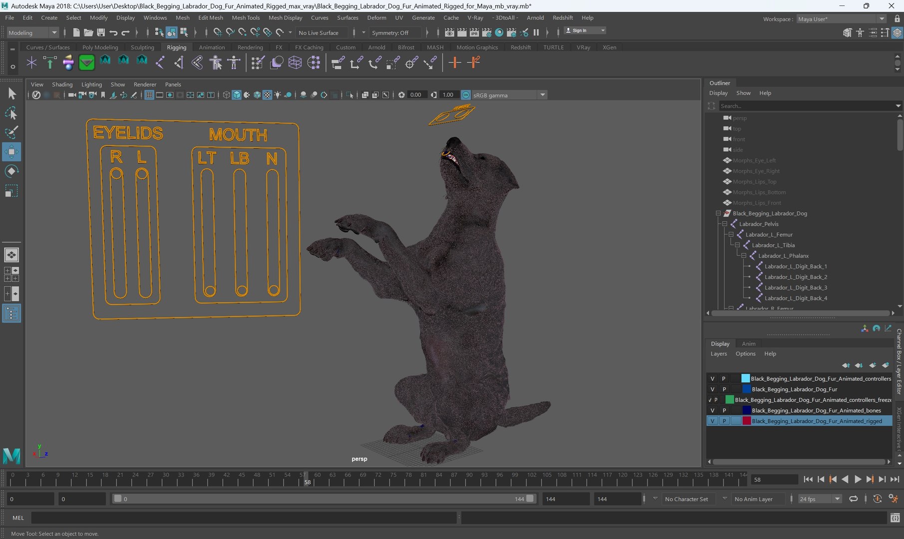 3D model Black Begging Labrador Dog Fur Animated Rigged for Maya https://p.turbosquid.com/ts-thumb/e4/iq9hum/LI/black_begging_labrador_dog_fur_animated_rigged_for_maya_008/jpg/1755505825/1920x1080/fit_q87/464293574d74d9e6fd55a070293a3f3013734b56/black_begging_labrador_dog_fur_animated_rigged_for_maya_008.jpg
