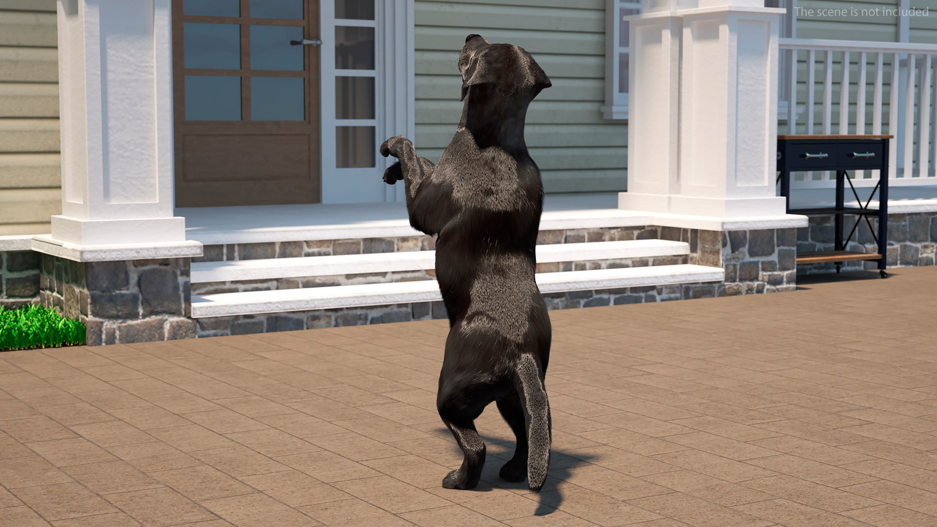 3D model Black Begging Labrador Dog Fur Animated Rigged for Maya https://p.turbosquid.com/ts-thumb/e4/iq9hum/O5/black_begging_labrador_dog_fur_animated_rigged_005/jpg/1755505804/1920x1080/fit_q87/758ce0c0d19c30e5689f5014dec48e72461ea194/black_begging_labrador_dog_fur_animated_rigged_005.jpg