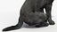 Black Begging Labrador Dog Fur Animated Rigged for Maya