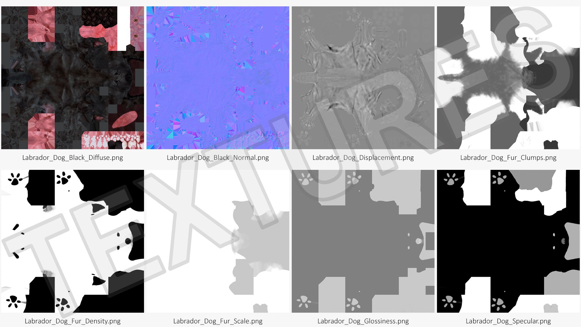 3D model Black Begging Labrador Dog Fur Animated Rigged for Maya https://p.turbosquid.com/ts-thumb/e4/iq9hum/Ws/black_begging_labrador_dog_fur_animated_rigged_018/jpg/1755505861/1920x1080/fit_q87/fd08cae31fd4a17623051de7a8d33625db70c541/black_begging_labrador_dog_fur_animated_rigged_018.jpg