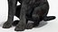 Black Begging Labrador Dog Fur Animated Rigged for Maya