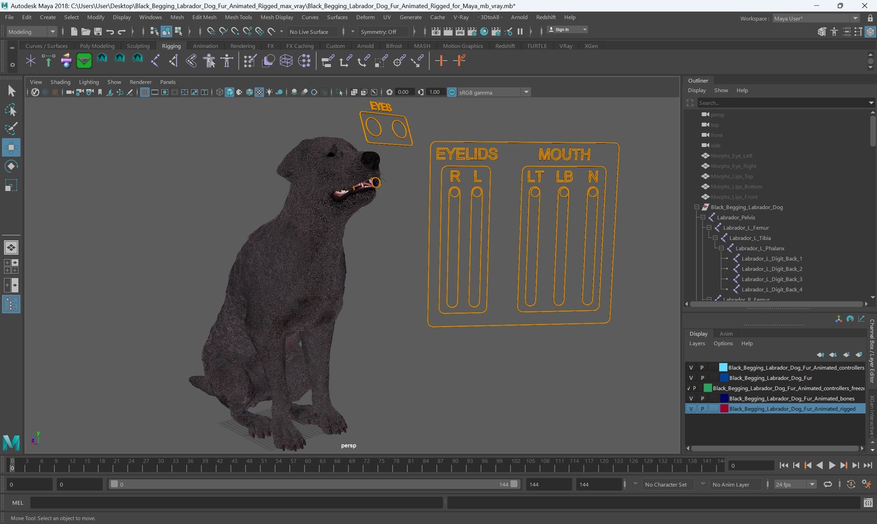 3D model Black Begging Labrador Dog Fur Animated Rigged for Maya https://p.turbosquid.com/ts-thumb/e4/iq9hum/dh/black_begging_labrador_dog_fur_animated_rigged_for_maya_003/jpg/1755505792/1920x1080/fit_q87/03d2e1632e854f1f0990cbe4c456662a3e36082f/black_begging_labrador_dog_fur_animated_rigged_for_maya_003.jpg
