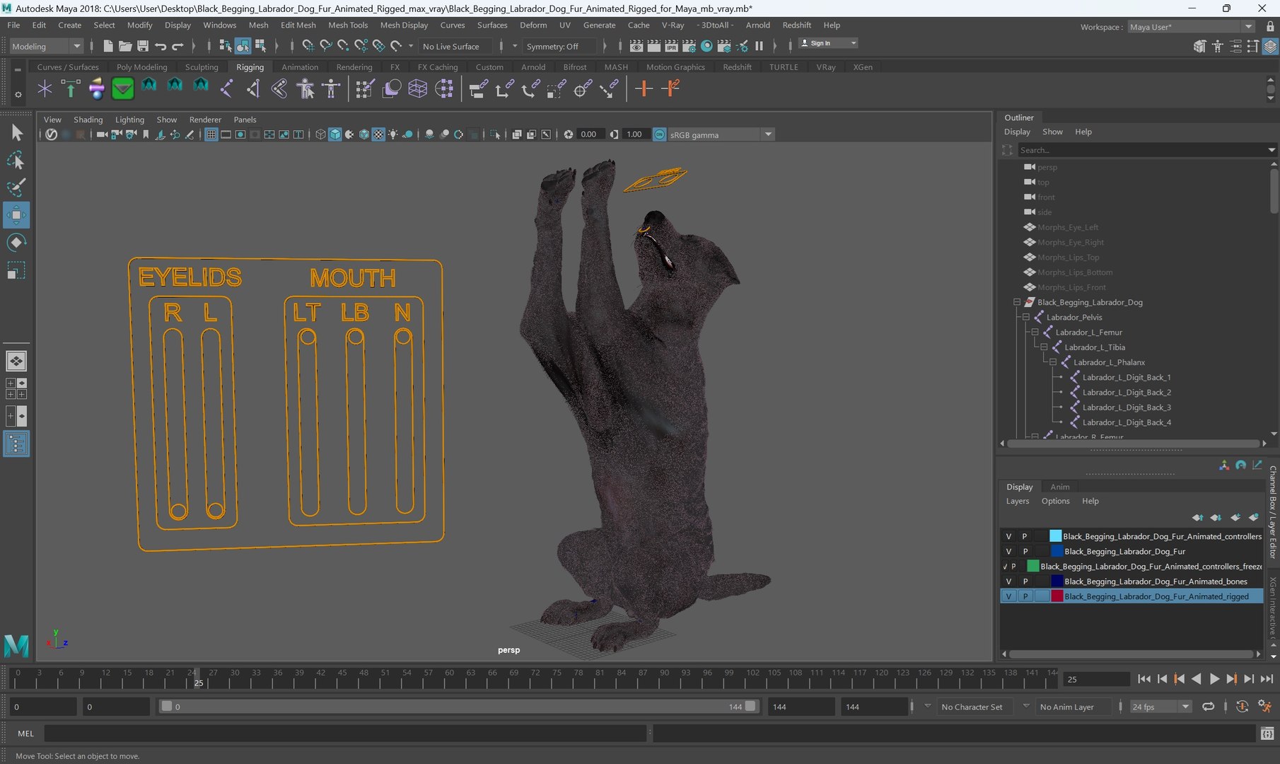 3D model Black Begging Labrador Dog Fur Animated Rigged for Maya https://p.turbosquid.com/ts-thumb/e4/iq9hum/eQ/black_begging_labrador_dog_fur_animated_rigged_for_maya_007/jpg/1755505819/1920x1080/fit_q87/7be2eb7601651dbddad0f6cb2b6a110318869314/black_begging_labrador_dog_fur_animated_rigged_for_maya_007.jpg