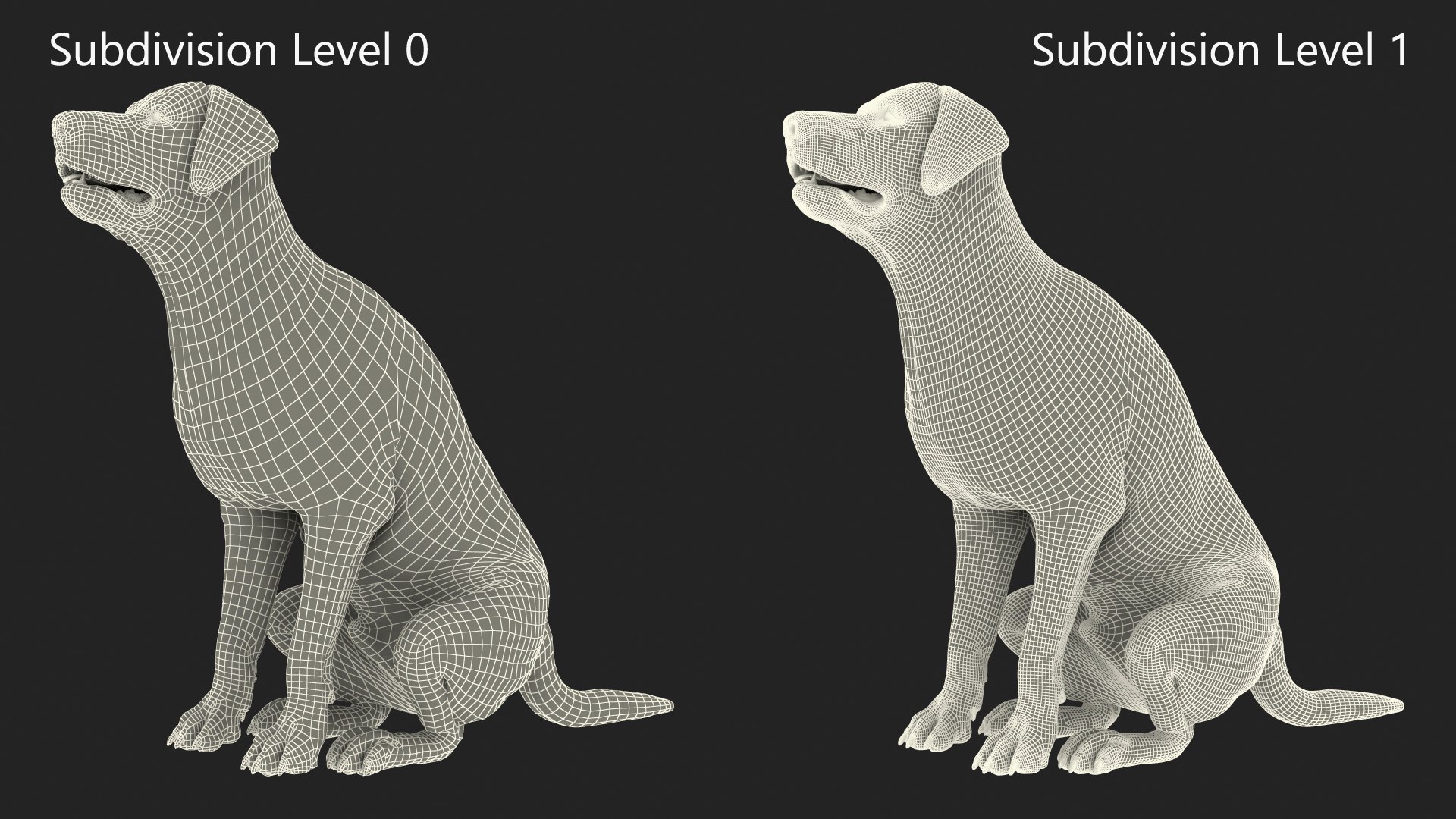 3D model Black Begging Labrador Dog Fur Animated Rigged for Maya https://p.turbosquid.com/ts-thumb/e4/iq9hum/f5/black_begging_labrador_dog_fur_animated_rigged_016/jpg/1755505854/1920x1080/fit_q87/44589cf022088b90f280c72e50aaabd0b02bdc0b/black_begging_labrador_dog_fur_animated_rigged_016.jpg