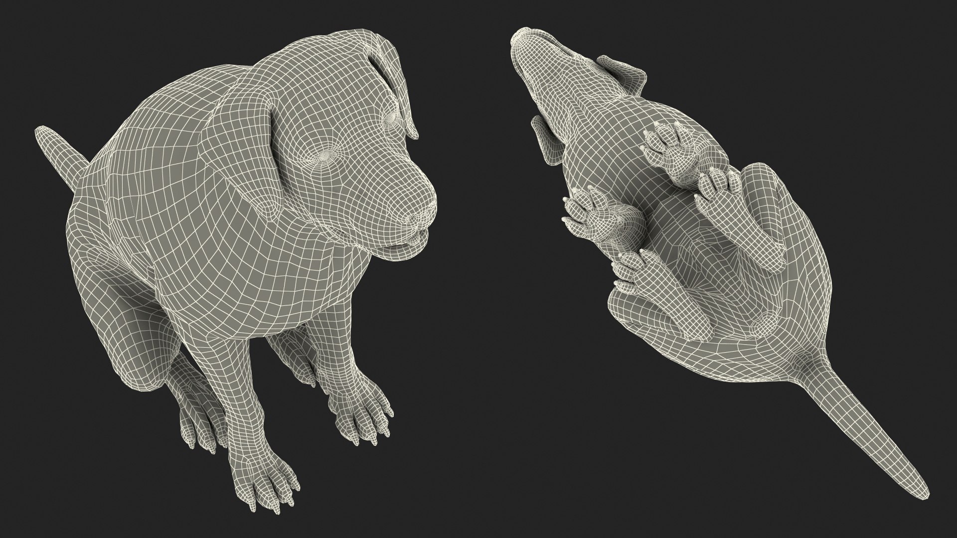 3D model Black Begging Labrador Dog Fur Animated Rigged for Maya https://p.turbosquid.com/ts-thumb/e4/iq9hum/iv/black_begging_labrador_dog_fur_animated_rigged_021/jpg/1755505870/1920x1080/fit_q87/fa51d379263a6b8aca3ffbd129e6f79b34632997/black_begging_labrador_dog_fur_animated_rigged_021.jpg