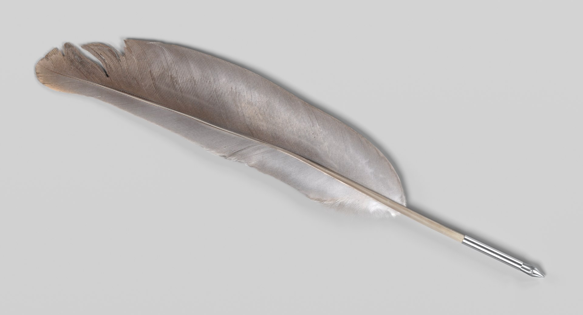 3D quill https://p.turbosquid.com/ts-thumb/e4/jKjZQD/J3nnhnrV/quillg/png/1499336098/1920x1080/fit_q87/1cacaf88925ba64f51c8408489bbff6b4d3248d2/quillg.jpg