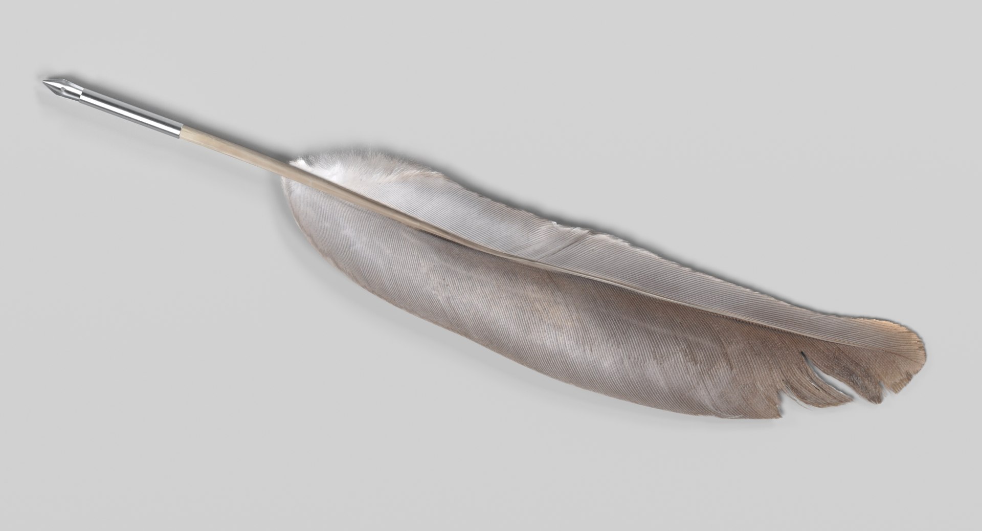 3D quill https://p.turbosquid.com/ts-thumb/e4/jKjZQD/lhhFc3Cx/quillh/png/1499336099/1920x1080/fit_q87/64f0233a87d533b136a89d19a6d7fef5aed119c4/quillh.jpg