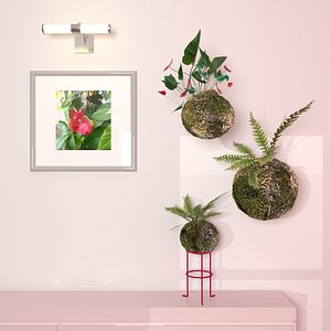 kokedama balls moss 3D
