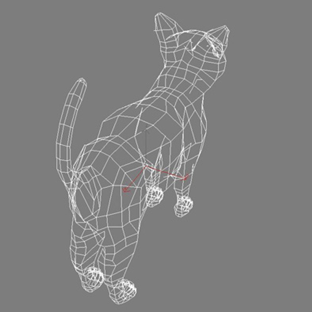 Cat 3d Model