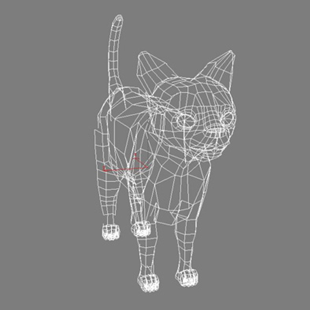 Cat 3d Model