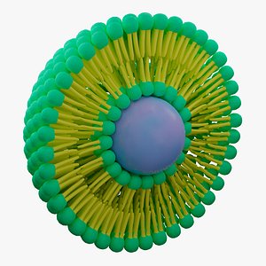 Liposome