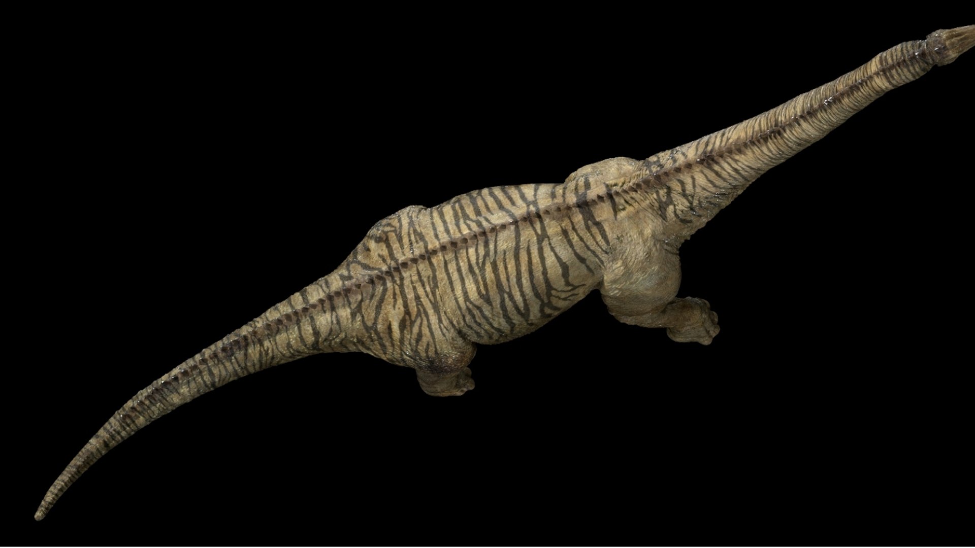 brontosaurus 3D 3D model https://p.turbosquid.com/ts-thumb/e5/01pG4M/7J/09/jpg/1761040491/1920x1080/fit_q87/04562ad67c85b607d7619f2d9528ffe46e9bb2f1/09.jpg