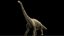 brontosaurus 3D 3D model