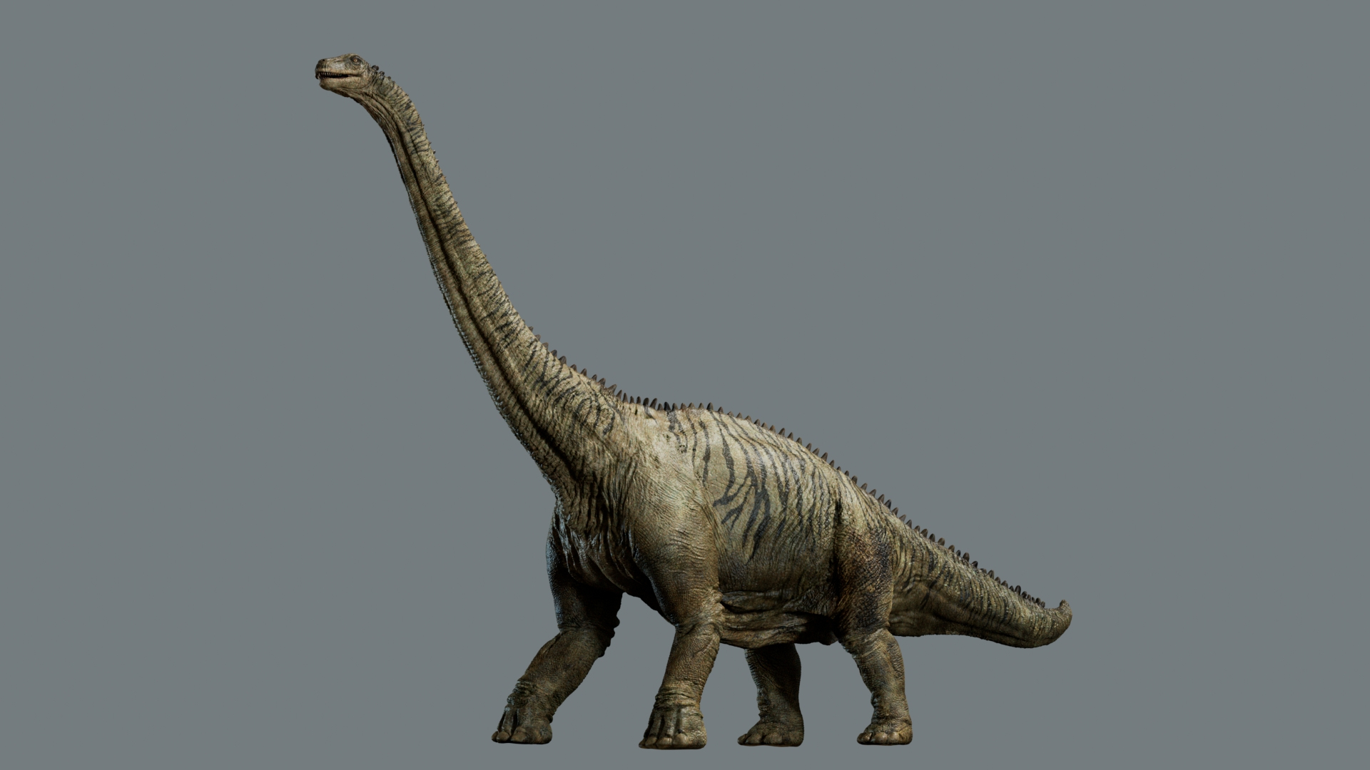 brontosaurus 3D 3D model https://p.turbosquid.com/ts-thumb/e5/01pG4M/KM/brontosaurus/jpg/1761040503/1920x1080/turn_fit_q99/67a2e0ffa912f6fd5b9354fc2b84a9ef25088d1c/brontosaurus-1.jpg