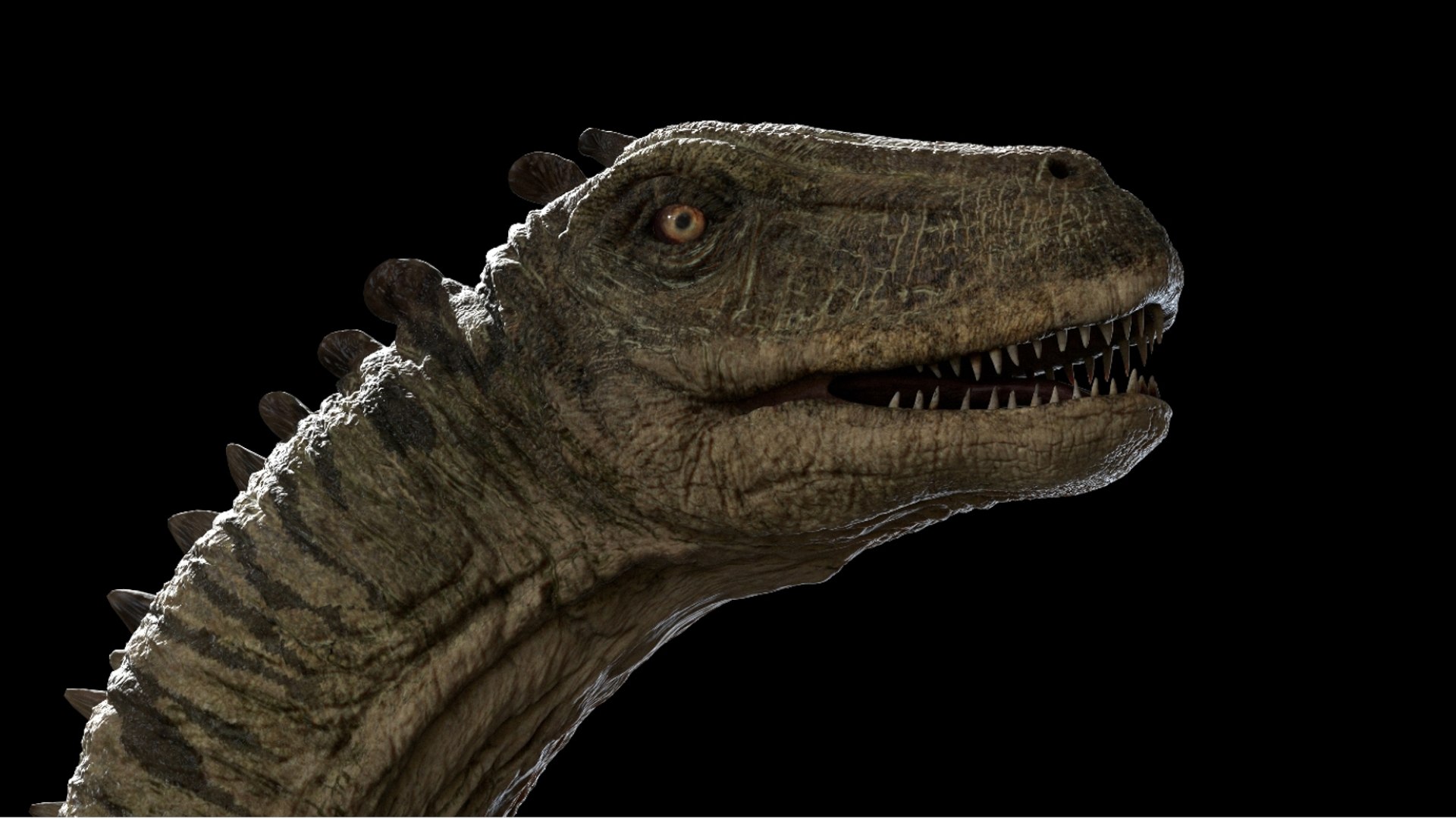 brontosaurus 3D 3D model https://p.turbosquid.com/ts-thumb/e5/01pG4M/T0/17/jpg/1761040496/1920x1080/fit_q87/5742ce8828068a4a1a8549345d17cccf361d7545/17.jpg