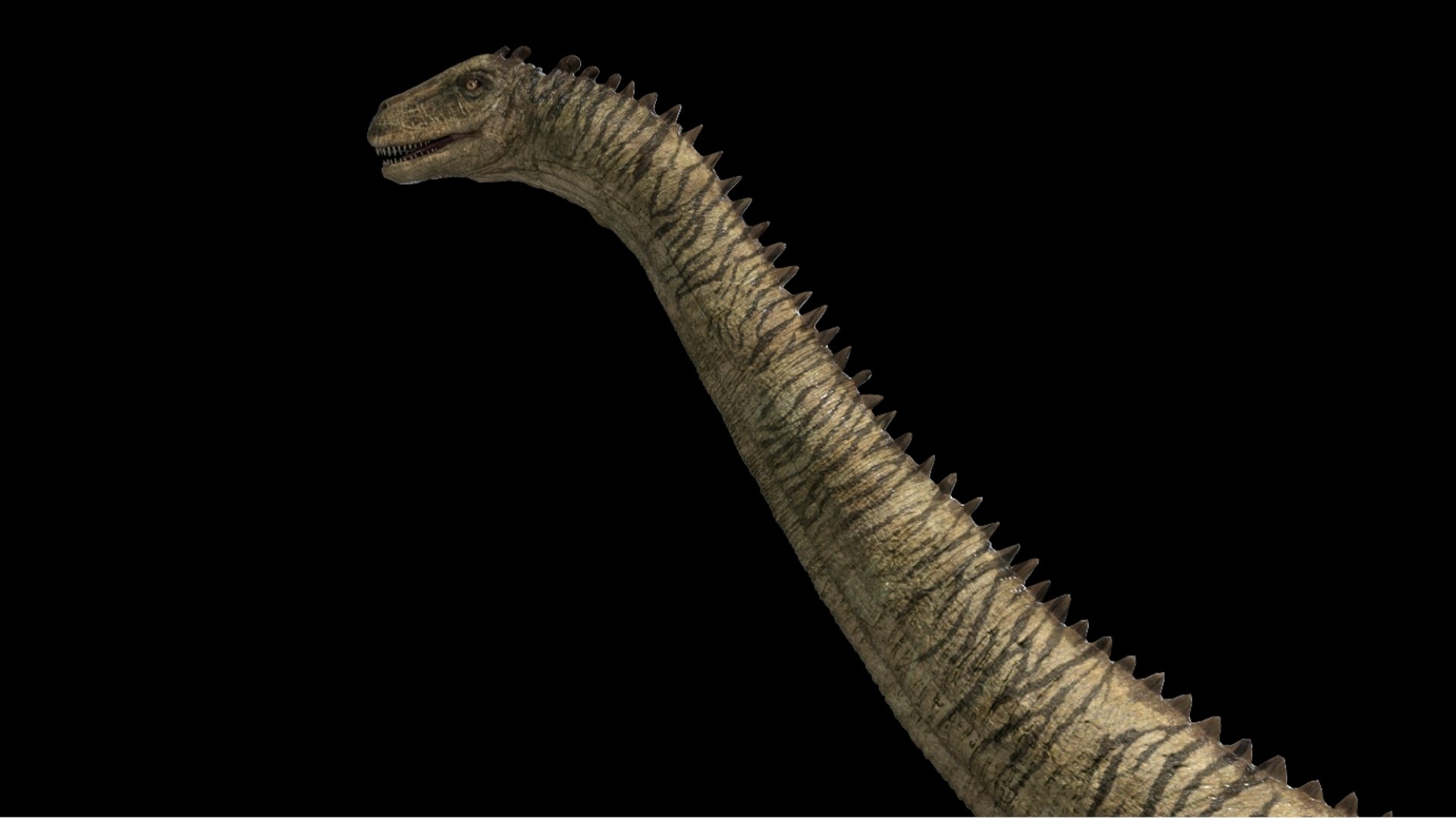 brontosaurus 3D 3D model https://p.turbosquid.com/ts-thumb/e5/01pG4M/vD/15/jpg/1761040495/1920x1080/fit_q87/1b71ae15096885ea0d4681864358646394a00284/15.jpg