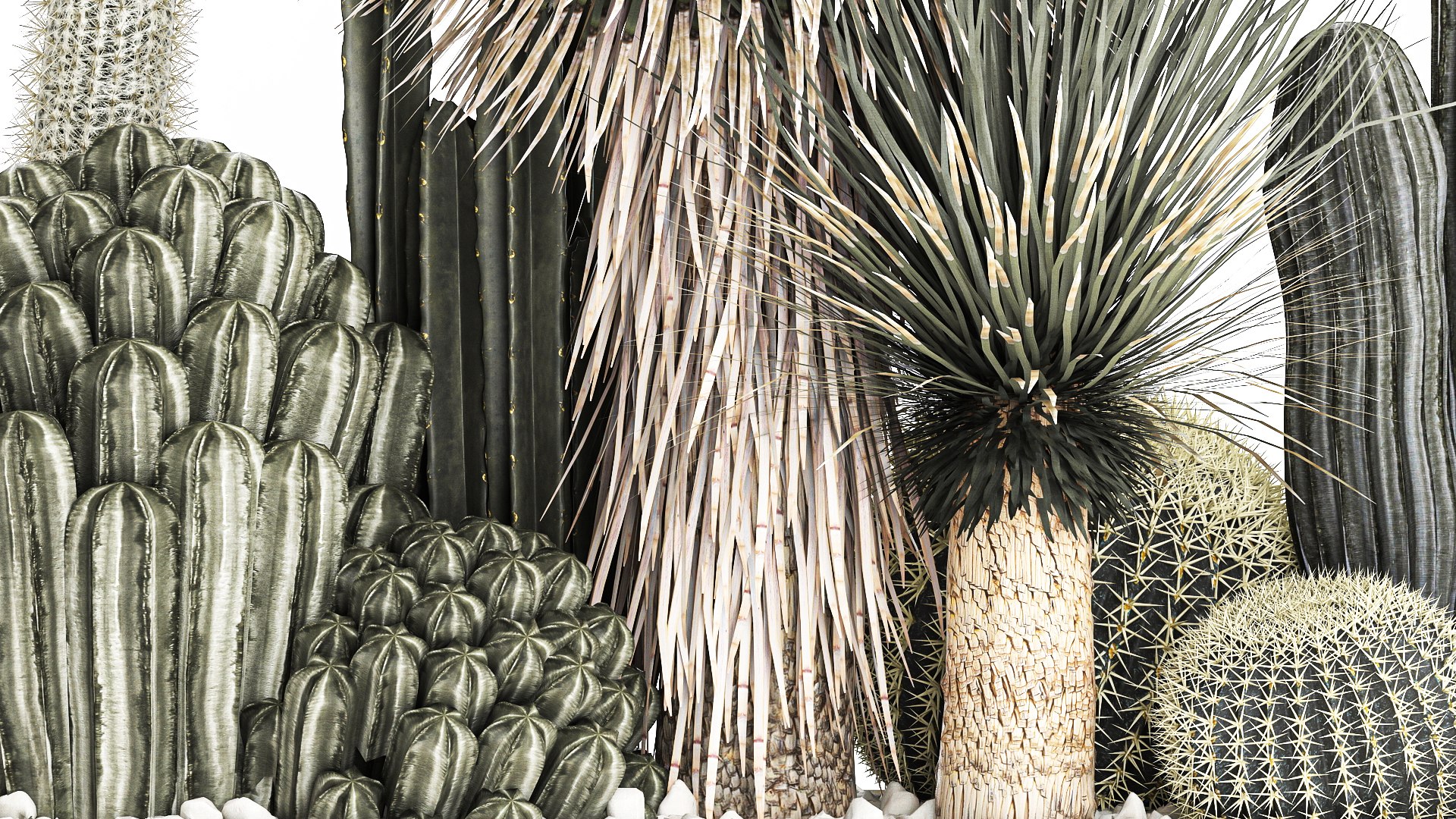 3D Cactus set in a concrete flowerpot for the interior 1098 model https://p.turbosquid.com/ts-thumb/e5/7PgBzX/Em/1cactusset1201202207/jpg/1642085321/1920x1080/fit_q87/c775fd49696c4aeb428b9872896313415ad744e7/1cactusset1201202207.jpg