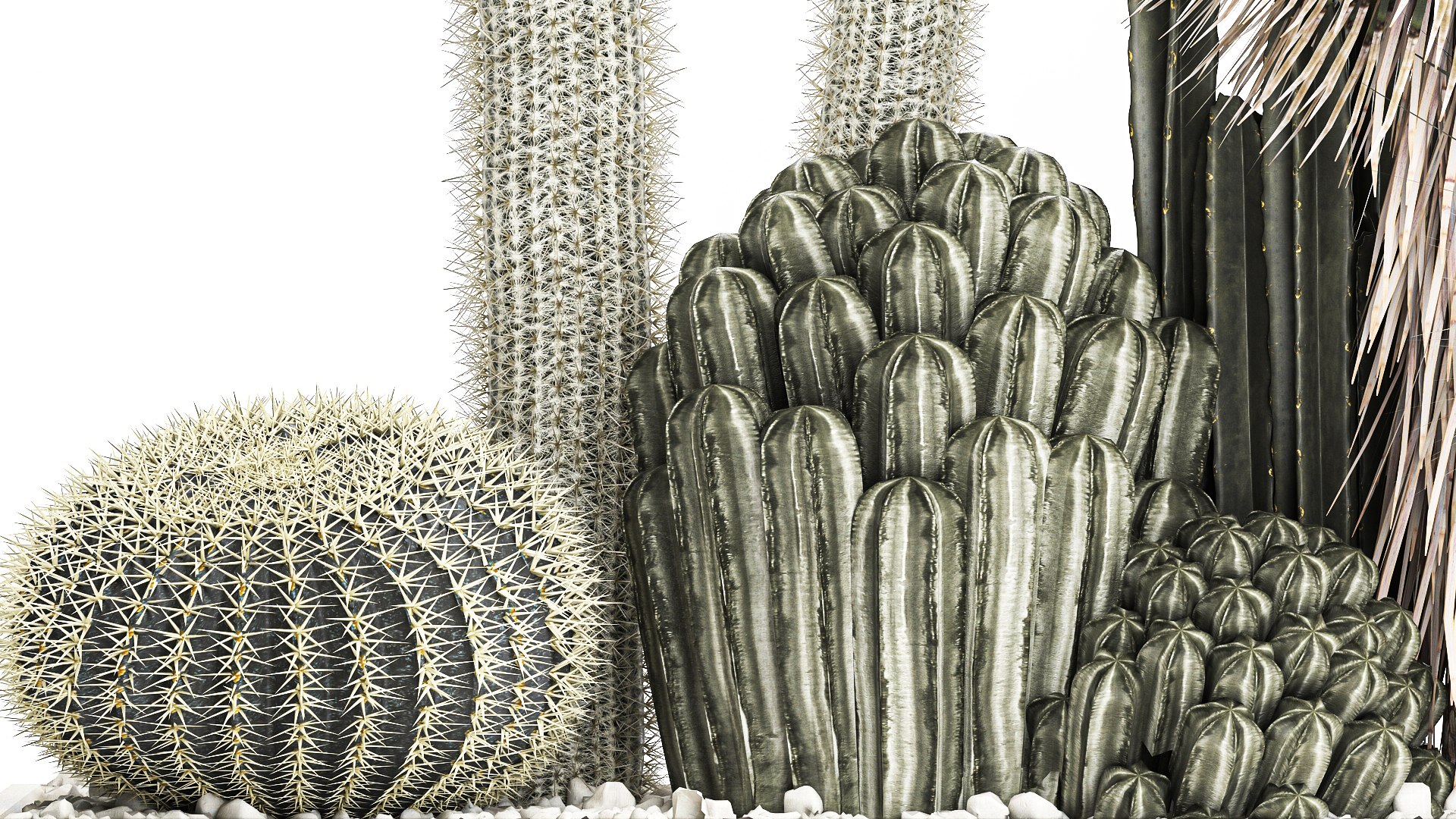 3D Cactus set in a concrete flowerpot for the interior 1098 model https://p.turbosquid.com/ts-thumb/e5/7PgBzX/FV/1cactusset1201202205/jpg/1642085316/1920x1080/fit_q87/d221fe43761ca46e141e31a96ca7fa237e14782f/1cactusset1201202205.jpg