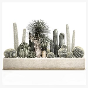 3D Cactus set in a concrete flowerpot for the interior 1098 model