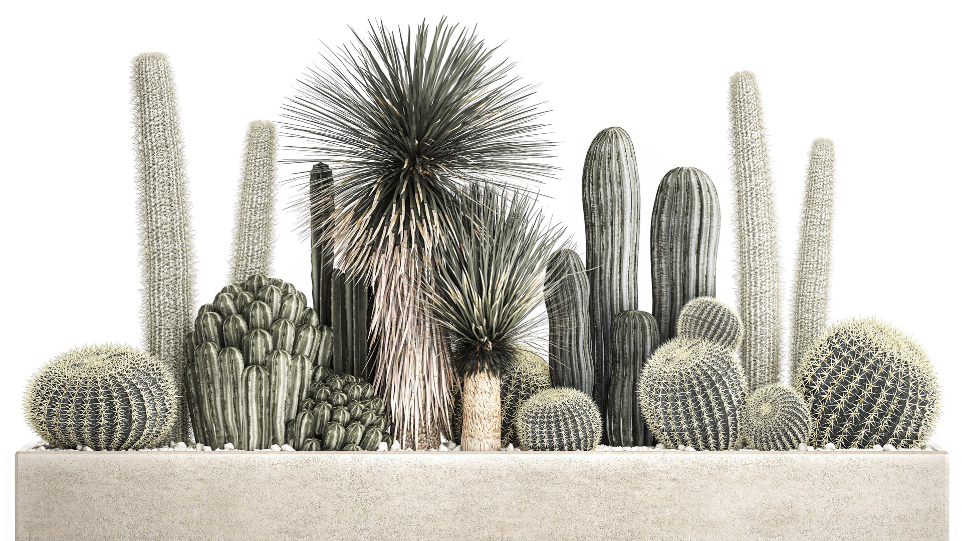 3D Cactus set in a concrete flowerpot for the interior 1098 model https://p.turbosquid.com/ts-thumb/e5/7PgBzX/Za/1cactusset1201202203/jpg/1642085318/1920x1080/fit_q87/21c6c886d751196dbe0eed8a7e68de56b0421435/1cactusset1201202203.jpg