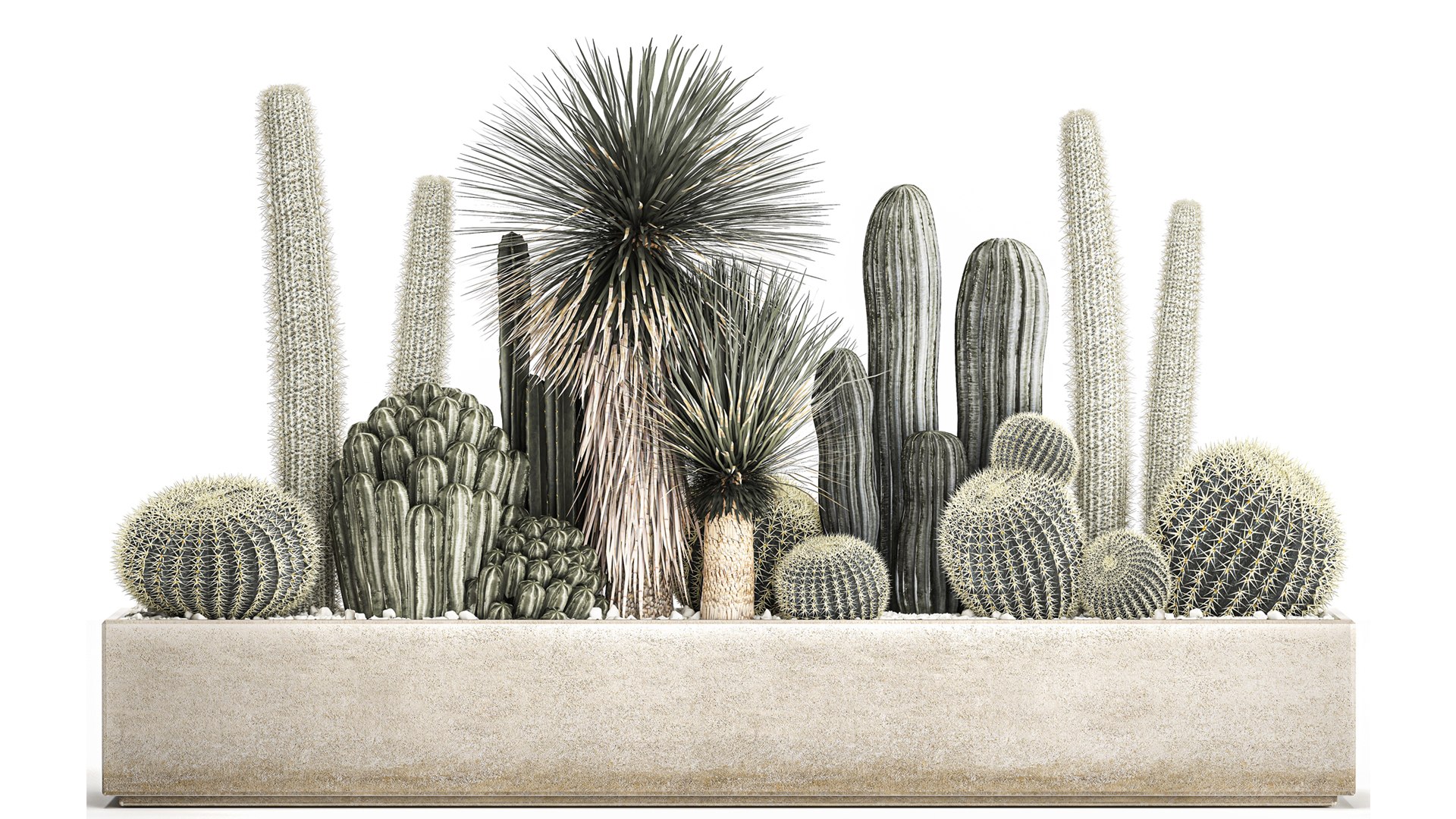 3D Cactus set in a concrete flowerpot for the interior 1098 model https://p.turbosquid.com/ts-thumb/e5/7PgBzX/qS/1cactusset1201202202/jpg/1642085314/1920x1080/fit_q87/edc2d21a93bde24a3b2dc642b122cc73552d1569/1cactusset1201202202.jpg