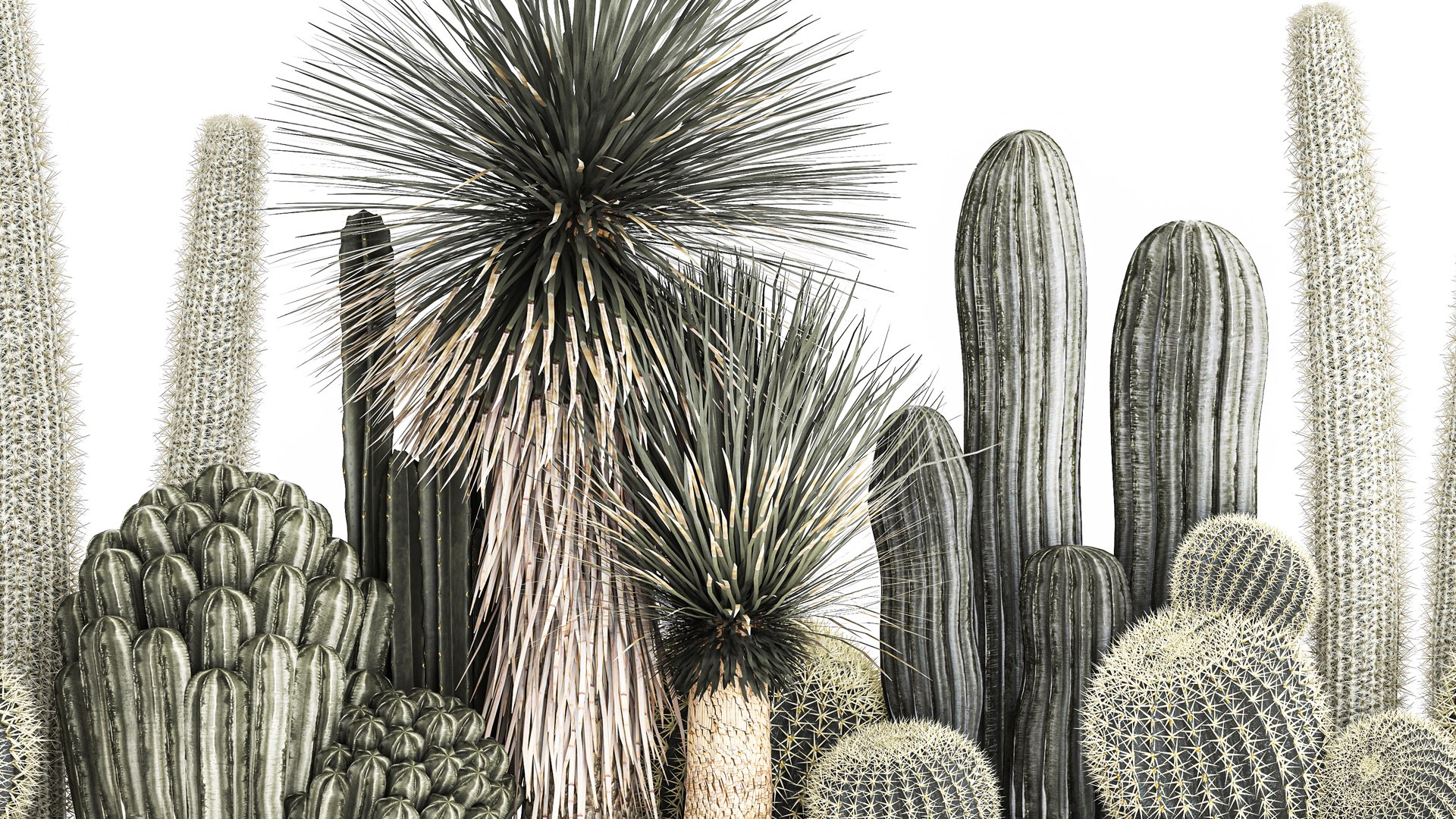 3D Cactus set in a concrete flowerpot for the interior 1098 model https://p.turbosquid.com/ts-thumb/e5/7PgBzX/qh/1cactusset1201202204/jpg/1642085317/1920x1080/fit_q87/00b360ea0b876dbaeefa420c8a70b9ea999e9787/1cactusset1201202204.jpg