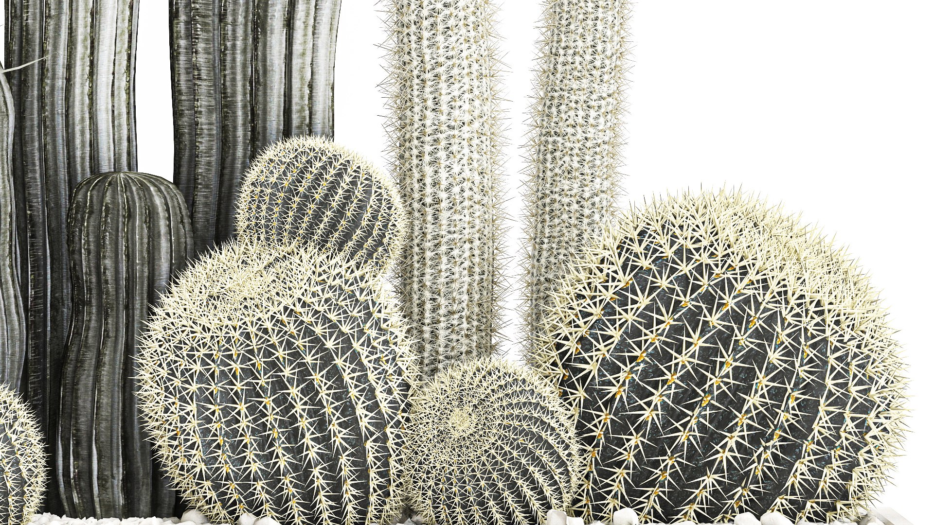 3D Cactus set in a concrete flowerpot for the interior 1098 model https://p.turbosquid.com/ts-thumb/e5/7PgBzX/zh/1cactusset1201202206/jpg/1642085321/1920x1080/fit_q87/c39597a1d8d949fd3b5f0fedeeaed58425846f13/1cactusset1201202206.jpg