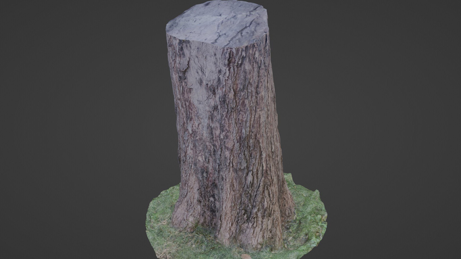 3D Trunk Scanned - TurboSquid 2318648