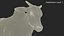 Zebu Cattle Male Walking Fur 3D