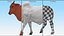 Zebu Cattle Male Walking Fur 3D