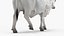 Zebu Cattle Male Walking Fur 3D