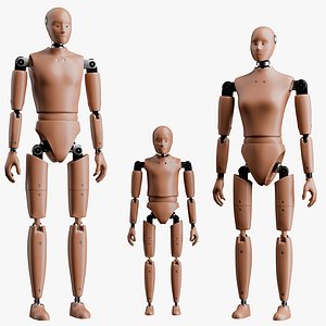 3D Crash Test Male Female and Child Dummy model