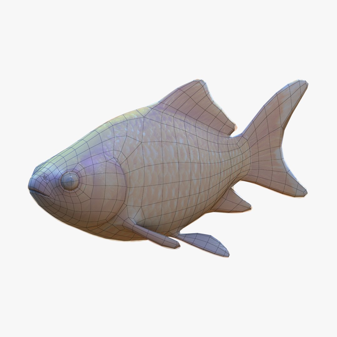 3d Goldfish Fish Common Model
